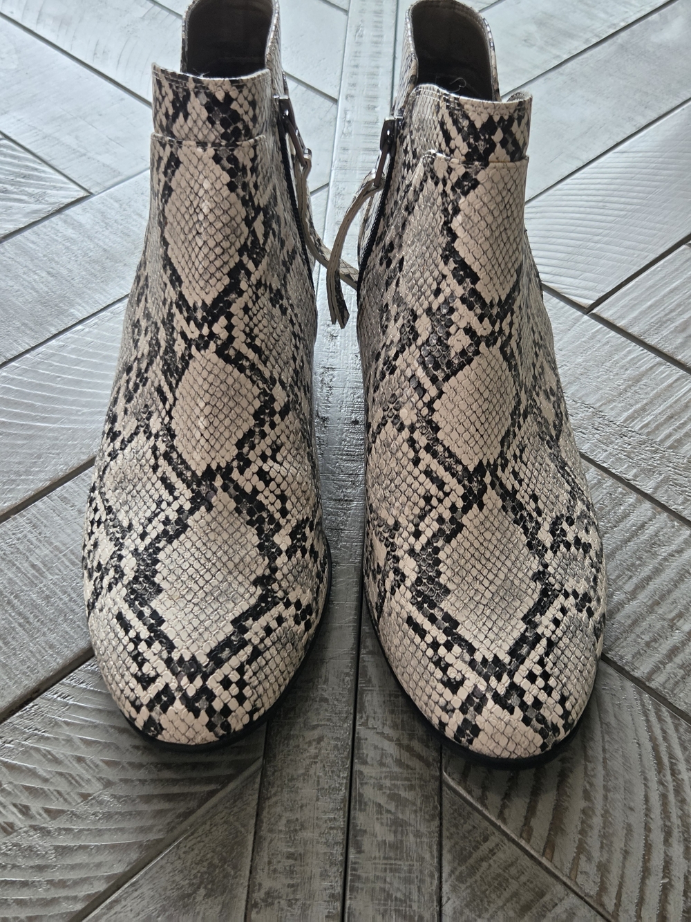 Circus by Sam Edelman Snake-Print Ankle Boots in Beige and Black 9.5M